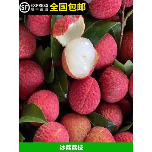 荔枝苗冰荔枝妃子笑仙进奉荔枝树苗优良品种甜美带土带叶15年淘宝