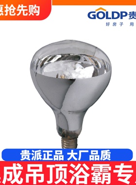 贵派goldp祥晖灯暖式浴霸专用160MM毫米灯泡集成吊顶30x60零配件