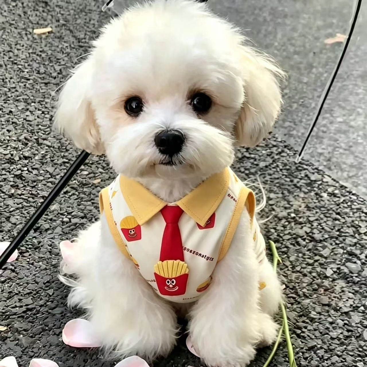 夏季狗狗薯条POLO背心防掉毛