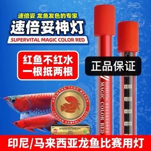 速倍妥神灯鱼缸增艳灯龙鱼专用灯增色红鱼防水潜水灯草缸灯UV潜水