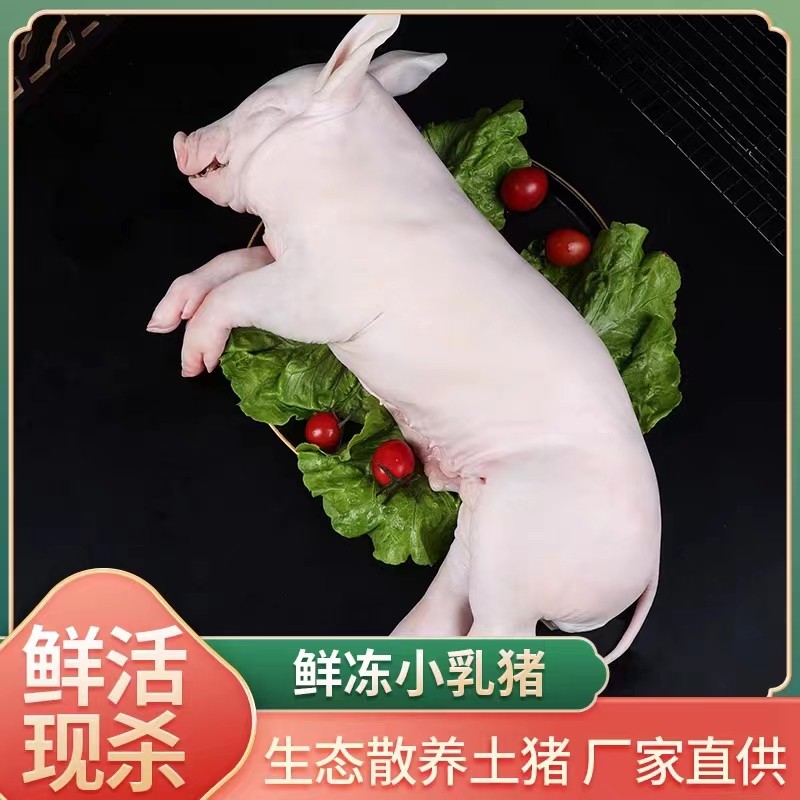 乳猪整只新鲜现拍现杀冷冻小耳广式脆皮宴席烧腊厂祭祖食材小香猪,水产肉类/新鲜蔬果/熟食,生猪肉,淘宝优惠券,粉丝福利购,淘宝优惠卷