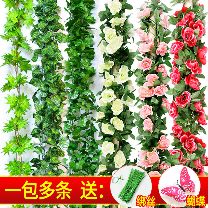 假藤蔓植物户外凉亭花架