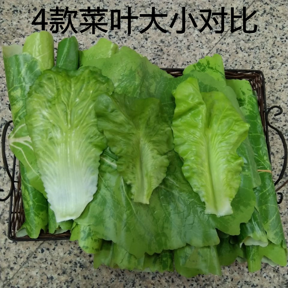 仿真生菜垫片假蔬菜软生菜绿叶厨房生鲜肉餐厅食物道具装饰摆盘垫