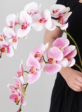 高级轻奢蝴蝶兰仿真花餐桌客厅假花摆设单支插花桌面花艺装饰摆件