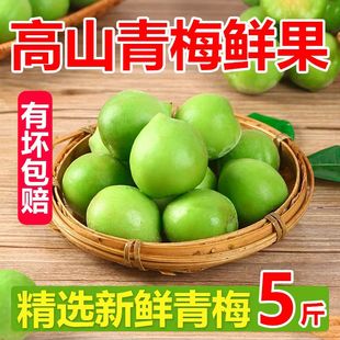 2025青梅鲜果高山青梅新鲜现摘青梅鲜果孕妇水果当季泡酒酵素腌制