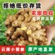 正宗云南小黄姜农家新鲜现挖食用生姜姜母嫩月子姜高山姜老姜蔬菜