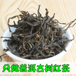 云南普洱古树红茶2025年新浓香型