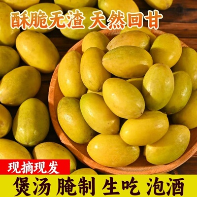 新鲜黄橄榄檀香甘香潮汕金灶老树金黄煮汤泡酒孕妇水果天然生青果