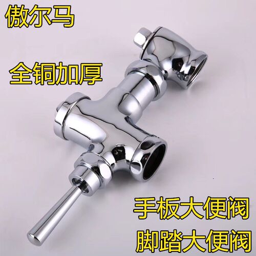 傲尔马大便阀全铜手板大便阀脚踏大便阀蹲便器延时冲水阀公共厕所
