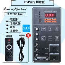 DSP蓝牙单声道功放板带消原音户外音箱改装主板配件 12V/220V适用