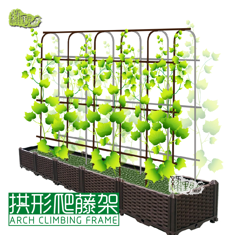 攀爬拱门百香果大棚黄瓜庭院花架