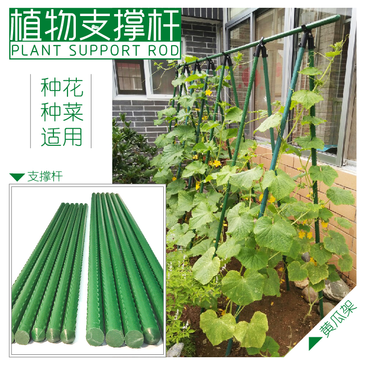 园艺蔬菜种植架盆栽攀爬植物爬藤铁艺花架阳台菜园DIY搭架支柱杆 鲜花速递/花卉仿真/绿植园艺 花架 原图主图