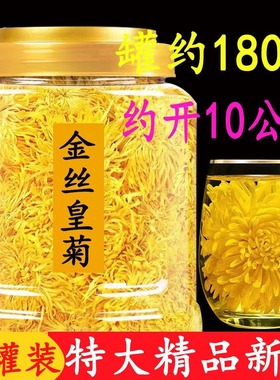 菊花茶金丝皇菊一朵一杯罐装菊花茶清火黄山贡菊胎菊花茶去火