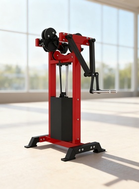 SELECTORIZED STANDING LATERAL RAISE站立式侧平举肩三头肌训器