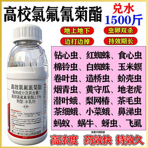 高效氯氰氟菊酯虫卵双杀持效期长