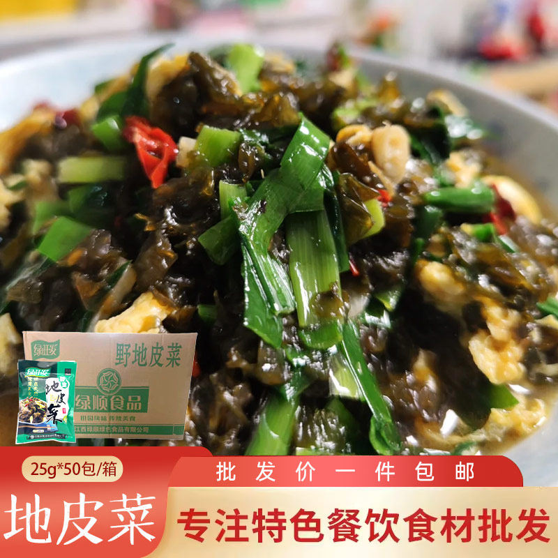特产野生地皮菜干地皮菜野生