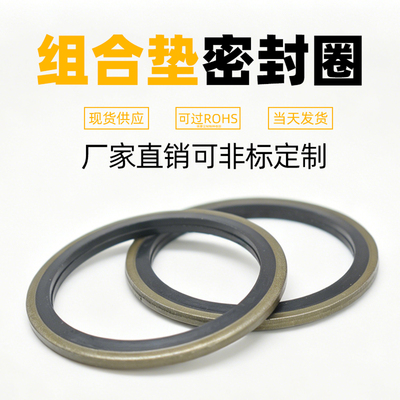 JB982-77组合垫圈密封圈高压油管