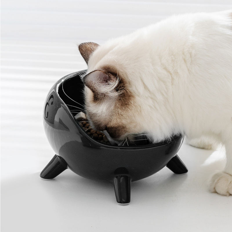 高脚斜口保护颈椎狗碗防打翻猫
