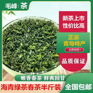 2025年海青绿茶新茶毛峰春茶叶豆香青岛特产明前大田炒青250g包邮