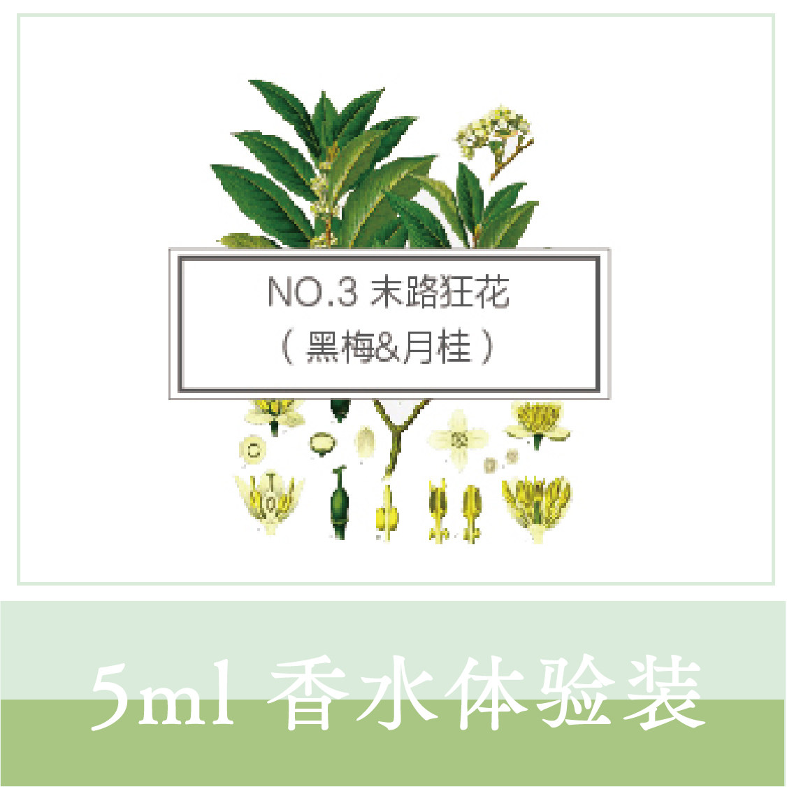 ｛末路狂花｝No.3黑梅&月桂-致敬zu马龙精油香水喷雾小样 5ML