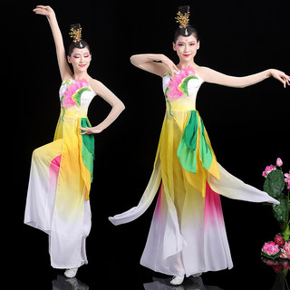 古典舞演出服新款女飘逸中国风伞舞广场舞江南荷花秧歌舞蹈服套装