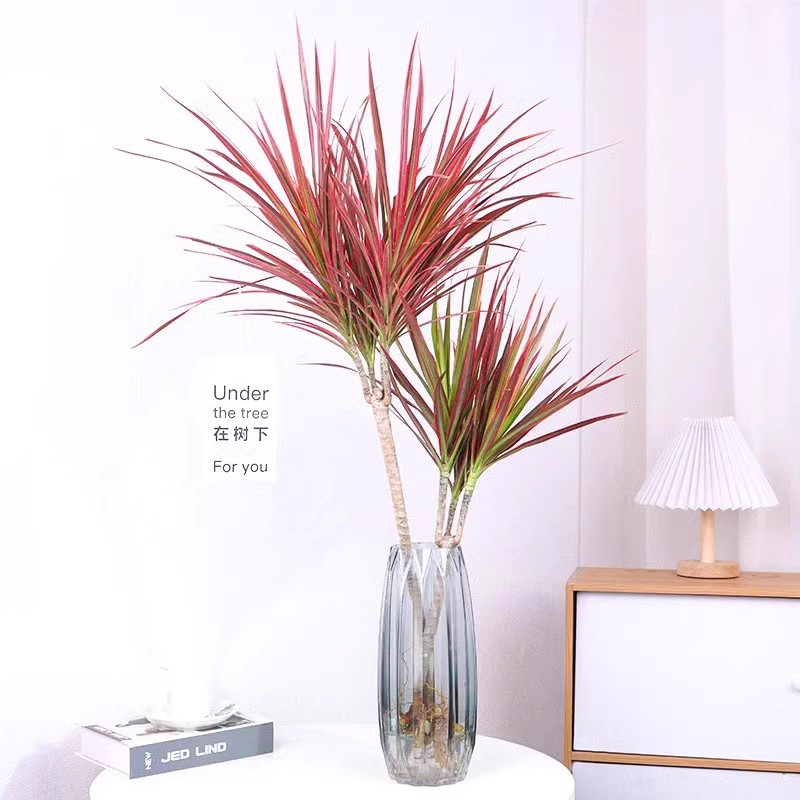 千年木七彩铁水培绿植室内办公室