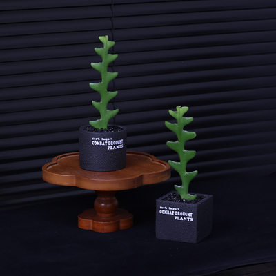 鱼骨令箭多肉植物网红绿植锯齿昙花仙人掌办公室绿植盆栽防辐射