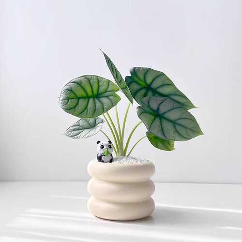 白犀牛海芋ins风网红进口高端