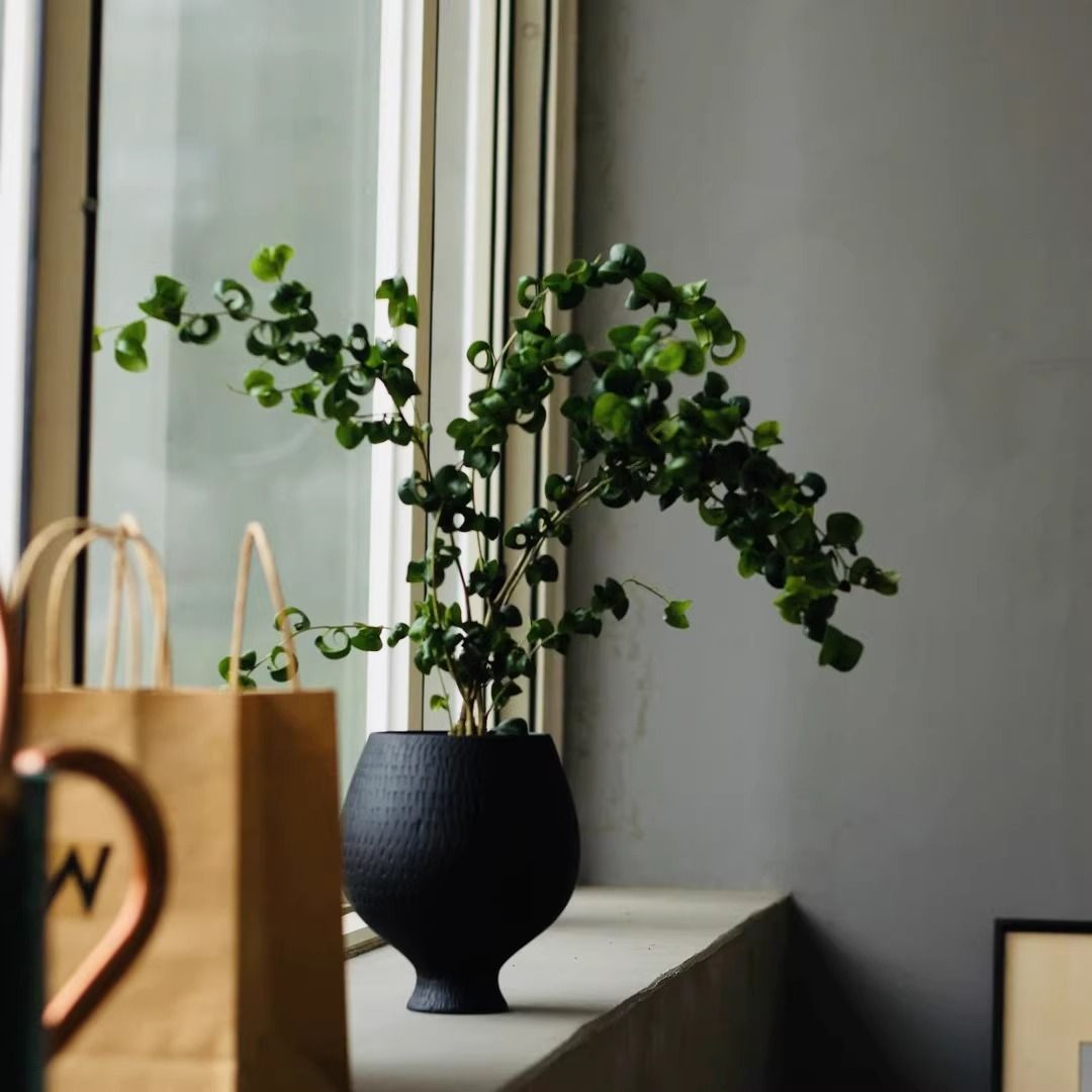 卷福懒人盆栽室内植物卷叶榕家居装饰热植客厅桌面小绿植摆件好养