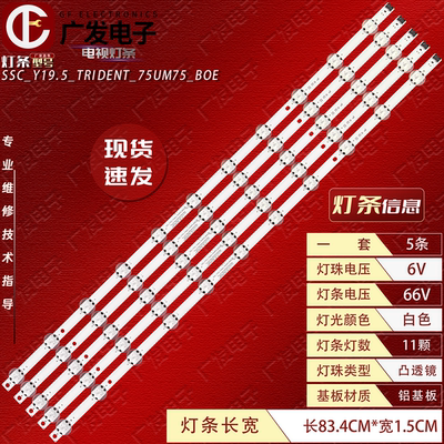 SSC_Y19.5_TRIDENT_75UM75_BOE