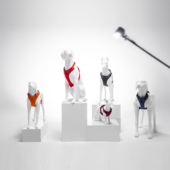 新款 狗模型可拆卸狗胸背宠物衣服宠物用品直播间杜高犬展示狗模型