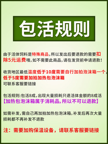 爬宠食物蟋蟀活体白蟋蟀蛐蛐蜥蜴守宫鬃狮蜘蛛蝎子粮食活食樱桃红