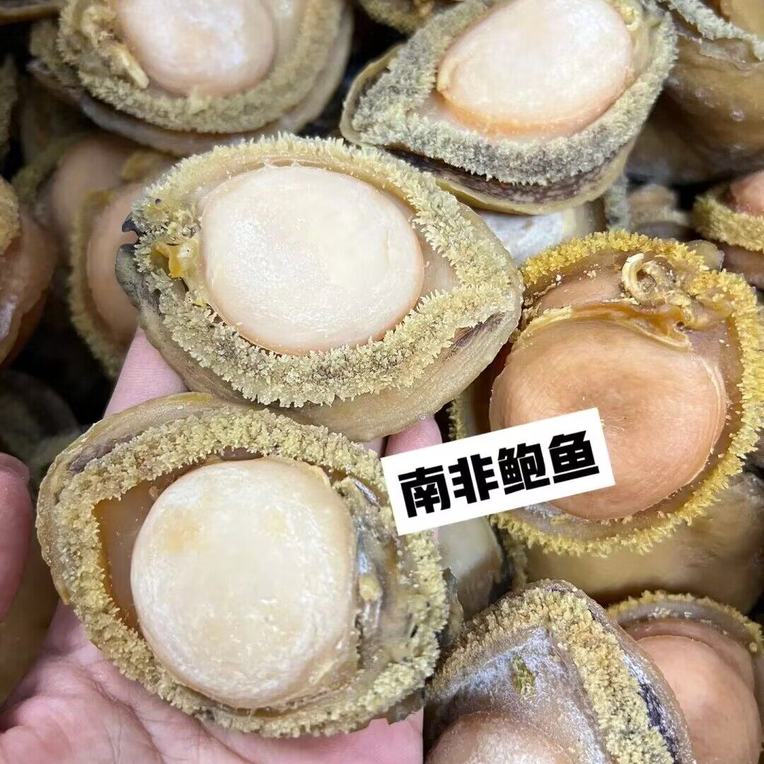 南非鲍鱼天然淡干精选足干网鲍溏心鲍鱼送礼佳品吉品鲍鱼干货500g
