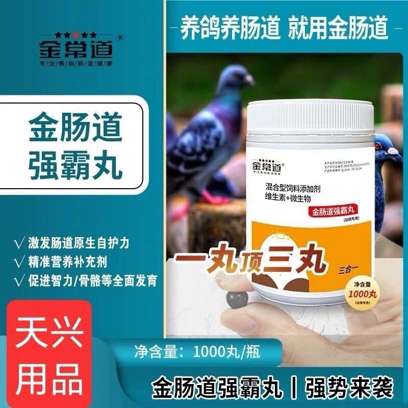 金肠道幼鸽强霸丸育雏补体营养钙强壮骨骼促进肌肉发育免疫益生菌