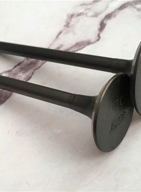 适用林海250 260 300摩托车气门 雅马哈YP250 碟影250原装气门VTC