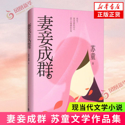 妻妾成群  新华正版书籍
