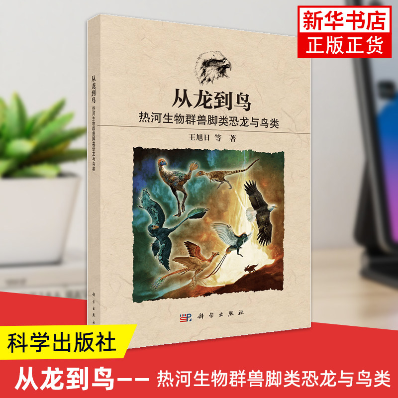 从龙到鸟 热河生物群兽脚类恐龙与鸟类 恐龙到鸟类的演化过程 鸟类的起源 王旭日 等 科学出版社 凤凰新华书店旗舰店