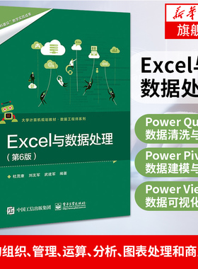 Excel与数据处理 第6版Excel书 PowerQuery数据清洗与整合PowerPivot数据建模与分析PowerView数据可视化商业智能数据处理 电子社