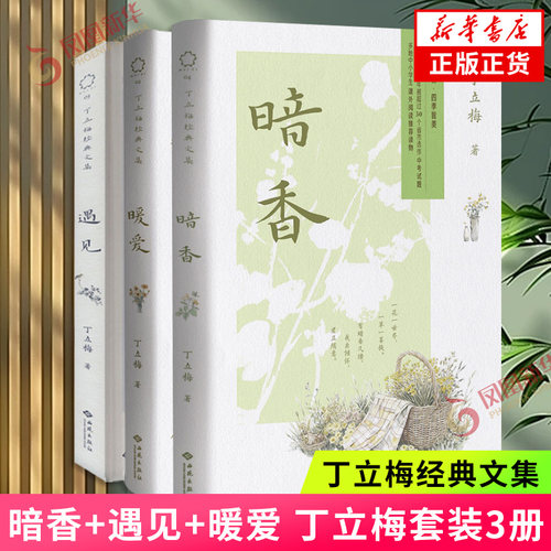 暗香+暖爱+遇见 套装3册 丁立梅散文集套装 丁立梅写给大家的自然情感生活美学 课外阅读书目 中国现当代文学散文丁立梅作品集正版