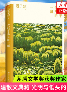 光明于低头的一瞬 迟子建散文典藏系列 茅盾文学奖得主迟子建散文自选集 现近代文学散文随笔 凤凰新华书店旗舰店官网 正版书籍