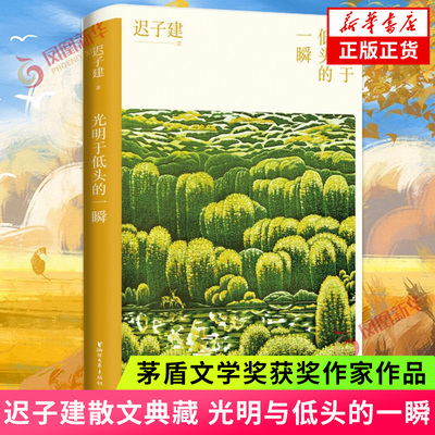 光明于低头的一瞬 迟子建散文典藏系列 茅盾文学奖得主迟子建散文自选集 现近代文学散文随笔 凤凰新华书店旗舰店官网 正版书籍