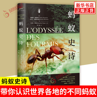 蚂蚁史诗 法 奥德蕾迪叙图尔 安托万威斯特拉赫 著 揭开蚂蚁SJ的面纱 带你认识SJ各地的不同蚂蚁 郑州大学出版社 新华书店正版书籍