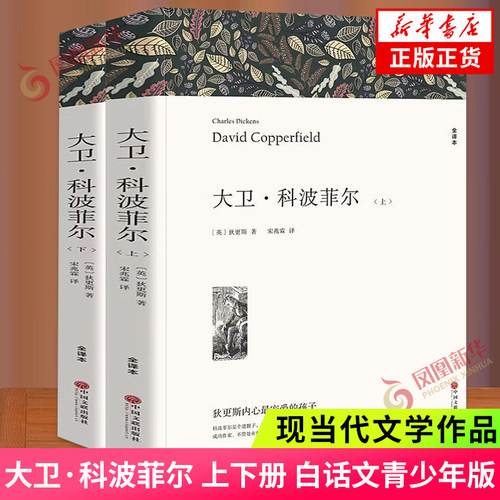 大卫世界名著中国长篇文学