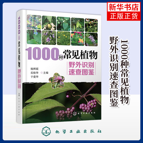 1000种常见植物野外识别速查图鉴 识别身边植物的百科全书 园林植物观赏花卉瓜果蔬菜 野外识别原植物鉴别 新华书店旗舰店正版