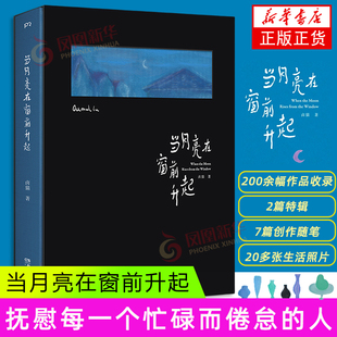 200余幅作品 书籍 湖南美术出版 正版 图片作品集 记录生活 人 抚慰每一个忙碌而倦怠 社 卤猫 当月亮在窗前升起