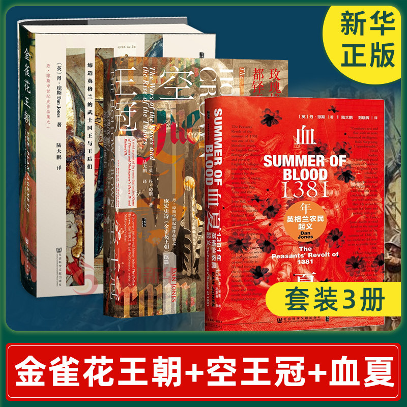 【套装3册】金雀花王朝+空王冠 玫瑰战争与都铎王朝的崛起+血夏 1381年英格兰农民起义 历史欧洲史正版书籍【凤凰新华书店旗舰店】