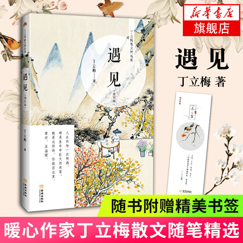 遇见修订版暖心作家丁立梅散文精选集之二感悟哲理温情类的文风朴实灵动真善美感悟哲理温情类小说现当代文学散文随笔名家名作_虎窝淘