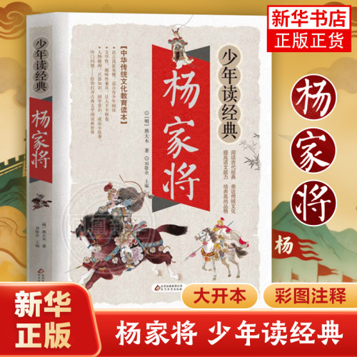 杨家将小学生四五六年级课外书