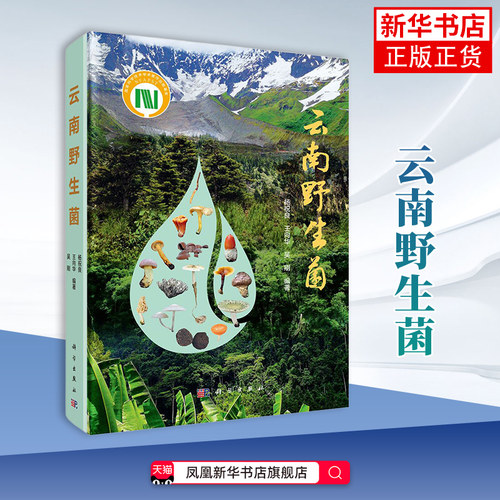 云南野生菌 杨祝良 真菌囊菌担子菌原生境彩图特征描述生境分布及生态经济价值形态特征 新华正版书籍