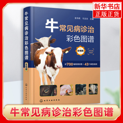 牛常见病诊治彩色图谱 含视频 金东航 牛常见传染病 牛常见病防治综合工具书 农业院校畜牧兽医专业参考 牛病防控技术培训教材